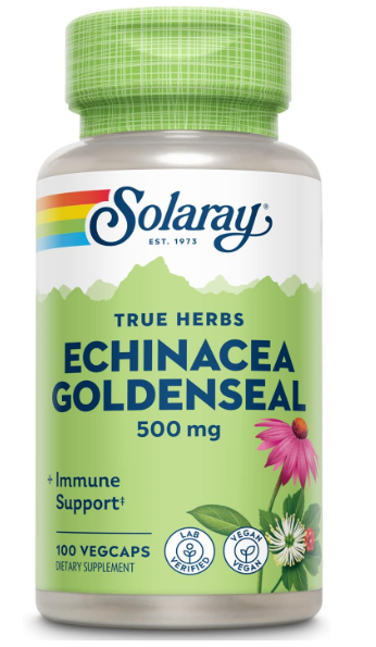 Best Echinacea Supplements 2024 - Top Natural Immune Boosters for Health and Wellness