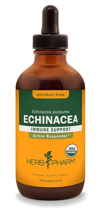 Best Echinacea Supplements 2024 - Top Natural Immune Boosters for Health and Wellness